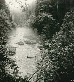 The McCloud River. (Signed and inscribed by the author).
