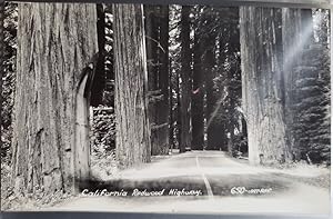 Real Photo Post Card: "California Redwood Highway."