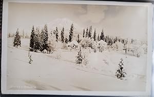 Real Photo Post Card: "Winter and Mt. Shasta"