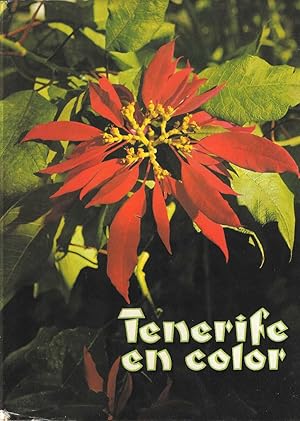 Tenerife en Color