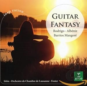 Seller image for Guitar Fantasy for sale by NEPO UG