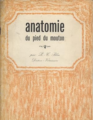 L'anatomie du pied du mouton. Vers 1960.