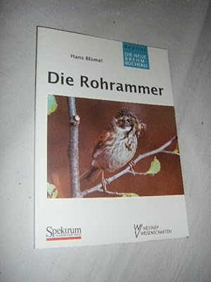 Die Rohrammer. Emberiza schoeniclus