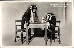 Bild des Verkufers fr Ansichtskarte / Postkarte Ble Basel Stadt Schweiz, Zoologischer Garten, vermenschlichte Schimpansen am Tisch zum Verkauf von akpool GmbH
