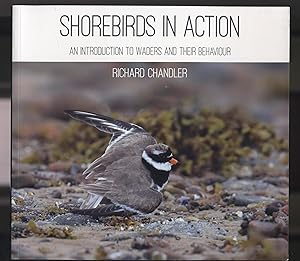 Seller image for Shorebirds in Action: and introduction to waders and their behaviour for sale by Calluna Books