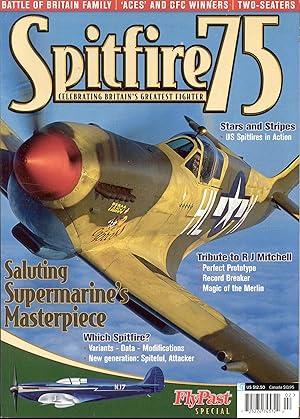 Seller image for FlyPast Special (Spitfire 75, Celebrating Britain's Greatest Fighter) for sale by Bookmarc's