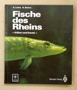Image du vendeur pour Fische des Rheins - frher und heute. mis en vente par antiquariat peter petrej - Bibliopolium AG