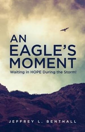 Seller image for An Eagle's Moment: Waiting in HOPE During the Storm! [Soft Cover ] for sale by booksXpress