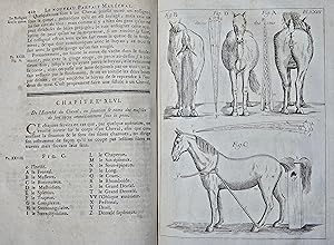 Le nouveau parfait Maréchal, ou la connoissance generale et universelle du cheval, divisé en sept...
