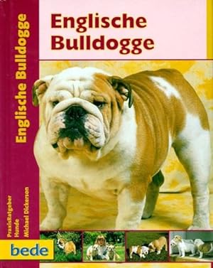 Englische Bulldogge, Praxisratgeber