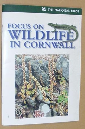 Focus on Wildlife in Cornwall