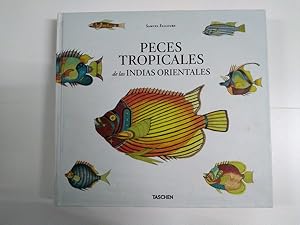 Peces tropicales de las indias orientales