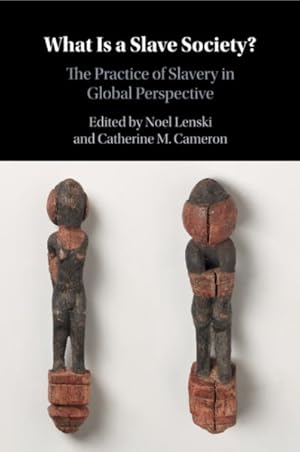 Immagine del venditore per What Is a Slave Society? : The Practice of Slavery in Global Perspective venduto da GreatBookPricesUK