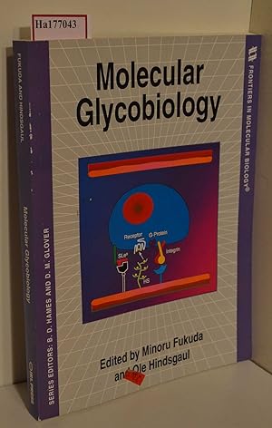 Seller image for Molecular Glycobiology. for sale by ralfs-buecherkiste