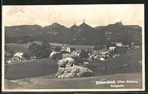 Ansichtskarte Dittersbach / Jetrichovice, Totalansicht mit Bergkette