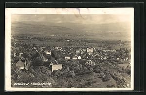 Ansichtskarte Graupen-Mariaschein, Panorama des Ortes
