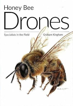 Honey Bee Drones. Specialists in the Field.