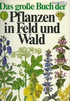 Das grosse Buch der Pflanzen in Feld und Wald