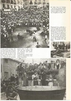 Imagen del vendedor de LAMINA 23996: Bous de Cardona en 1965 a la venta por EL BOLETIN