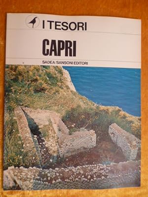 Immagine del venditore per Capri. I Tesori. venduto da Versandantiquariat Harald Gross