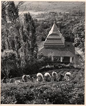 Cambodia Sinoun the Little Cambodian Girl old photo Odile Wertheimer 1968 #4