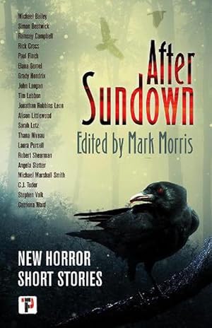 Seller image for After Sundown (Paperback) for sale by Grand Eagle Retail