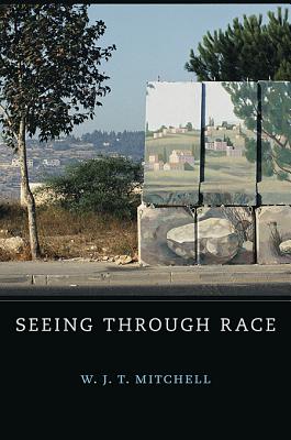Immagine del venditore per Seeing Through Race (Hardback or Cased Book) venduto da BargainBookStores