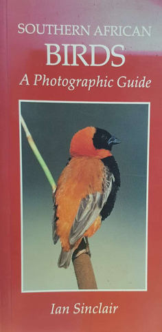 Southern African Birds: A Photographic Guide