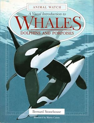 Seller image for A Visual Introduction to Whales, Dolphines and Porpoises for sale by Schueling Buchkurier