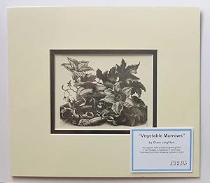 Vegetable Marrows (1936 Lithograph Print, Farming )