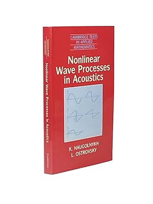 Nonlinear Wave Processes in Acoustics