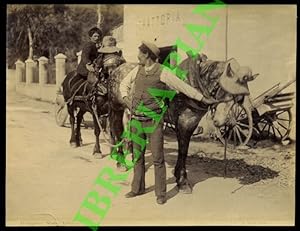 Bordighera. Contadini a cavallo in strada.