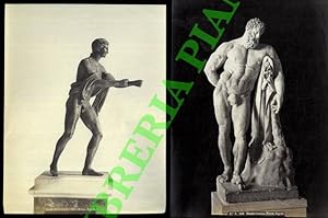 Napoli. Museo. Ercole Farnese. Apollo di bronzo.