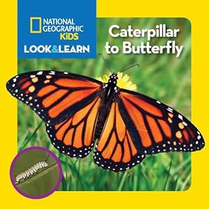 Immagine del venditore per National Geographic Kids Look and Learn: Caterpillar to Butterfly (Board Book) venduto da Grand Eagle Retail