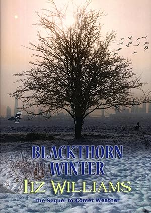 Blackthorn Winter (sequel to Comet Weather)
