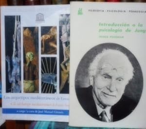 INTRODUCCIÓN A LA PSICOLOGÍA DE JUNG + LOS ARQUETIPOS MEDITERRÁNEOS DE ENNIO TESEI (2 libros)