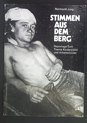 Seller image for Stimmen aus dem Berg. Reportage zum Thema Kinderarbeit und Arbeiterkinder. for sale by books4less (Versandantiquariat Petra Gros GmbH & Co. KG)