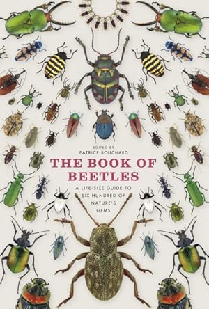 Immagine del venditore per Book of Beetles : A Life-size Guide to Six Hundred of Nature's Gems venduto da GreatBookPrices