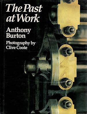 Immagine del venditore per The Past at Work venduto da Delph Books PBFA Member