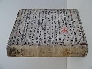 Chirurgische Bücher und Schrifften. Jetzt auffs New auß den Originalen und Theophrasti eygenen Ha...