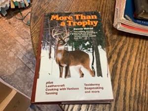 Seller image for More Than a Trophy for sale by Riverow Bookshop