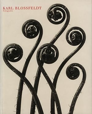 Image du vendeur pour Karl Blossfeldt, Fotografie. mis en vente par Antiquariat Lenzen