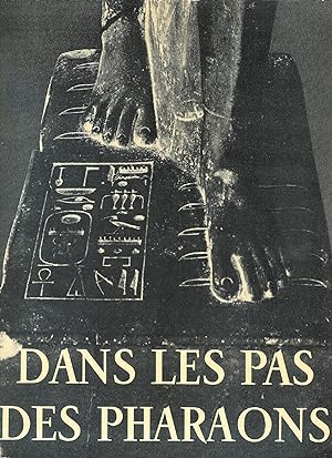 Bild des Verkufers fr Dans les pas des pharaons zum Verkauf von MULTI BOOK