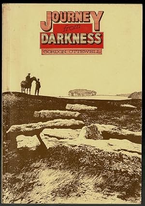 Immagine del venditore per Journey from Darkness venduto da Lazy Letters Books