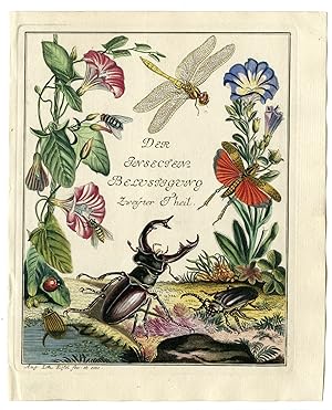 Antique Print-TITLE-INSECTS-BUTTERFLY-BEETLE-DRAGONFLY-Rosel von Rosenhof-1765