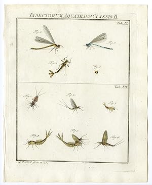 Antique Print-DRAGONFLY-MAYFLY-INSECTS-TAB: X-Rosel von Rosenhof-1765