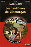 Imagen del vendedor de Les Fantmes De Glamorgan : Lire Pour Rviser Du Ce2 Au Cm1, 8-9 Ans a la venta por RECYCLIVRE