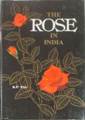 Immagine del venditore per Rose in India, The venduto da SEATE BOOKS