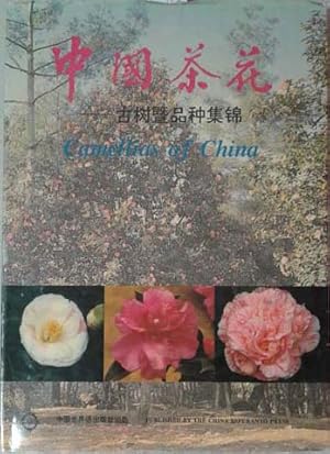 Image du vendeur pour Camellias of China mis en vente par SEATE BOOKS