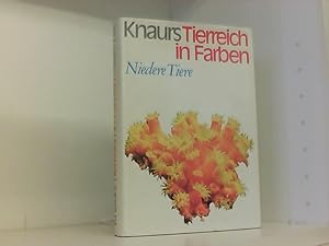 Seller image for Niedere Tiere for sale by Book Broker